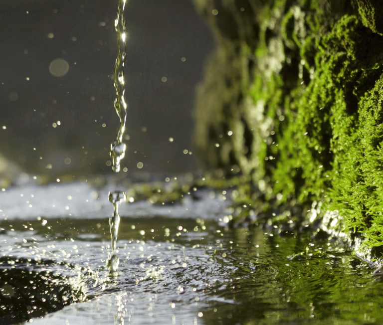 Минеральная вода и травяные ингаляции